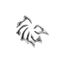 Breaking Shell - Home